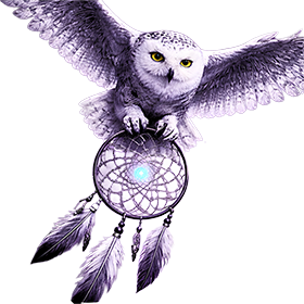 Owl and dreamcatcher — RadOwl dream interpretation